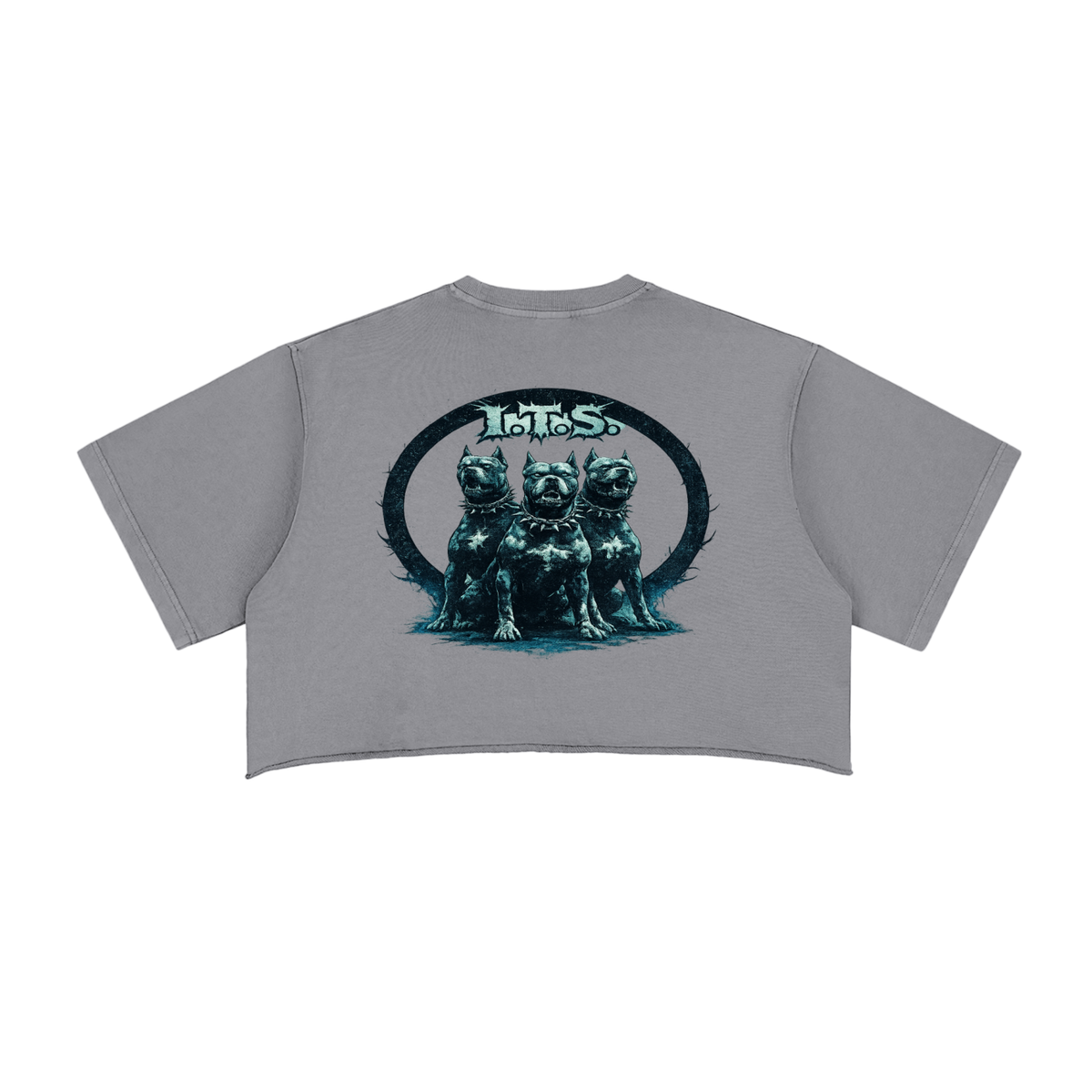 Bank Heist’ Snow Washed Raw Edge Crop Top