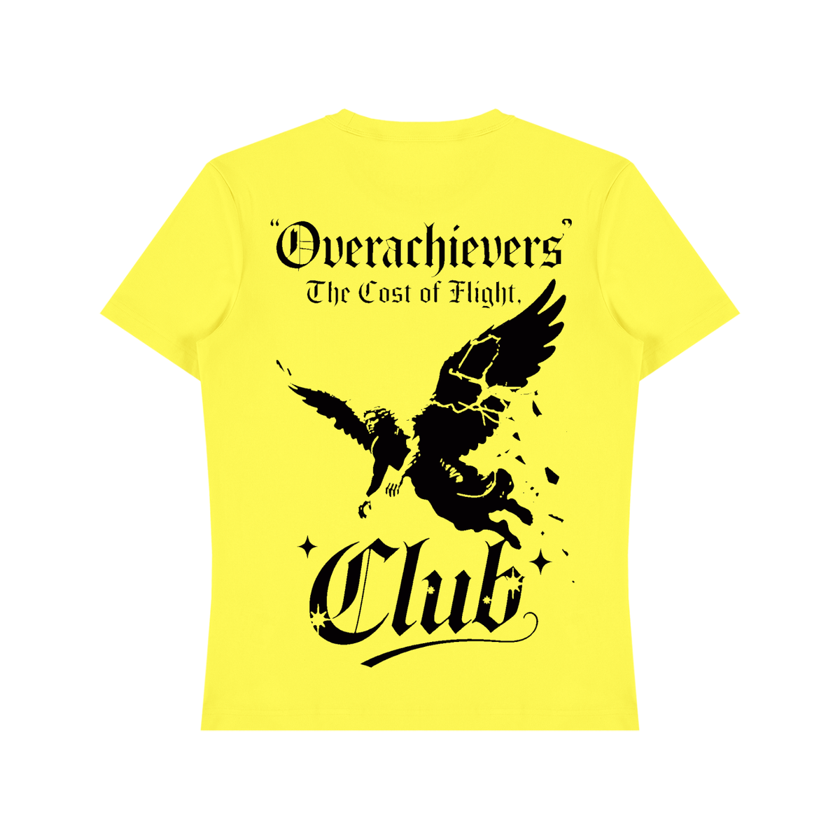 Cost of Flight' T-Shirt