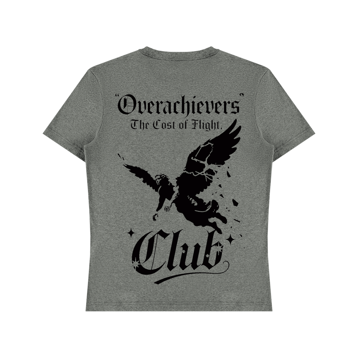 Cost of Flight' T-Shirt