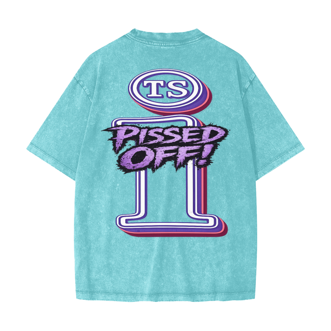 Heavyweight Snow Washed T-Shirt