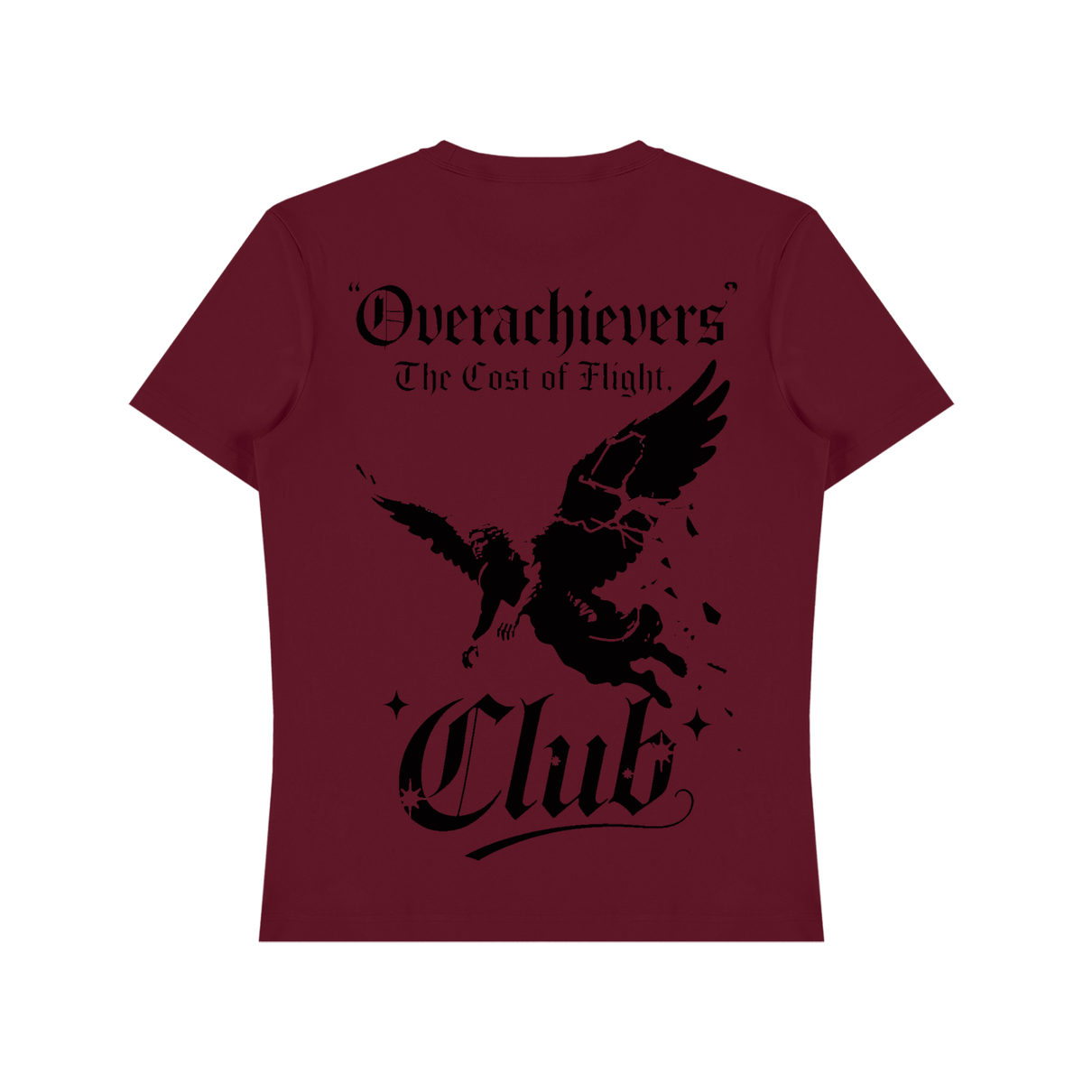 Cost of Flight' T-Shirt